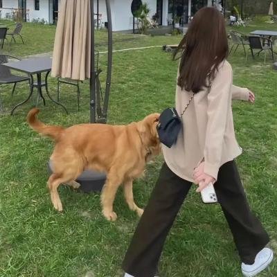 汪汪忠臣藏